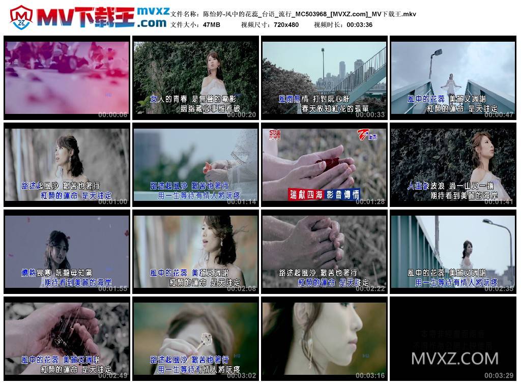 陈怡婷-风中的花蕊_台语_流行_MC503968